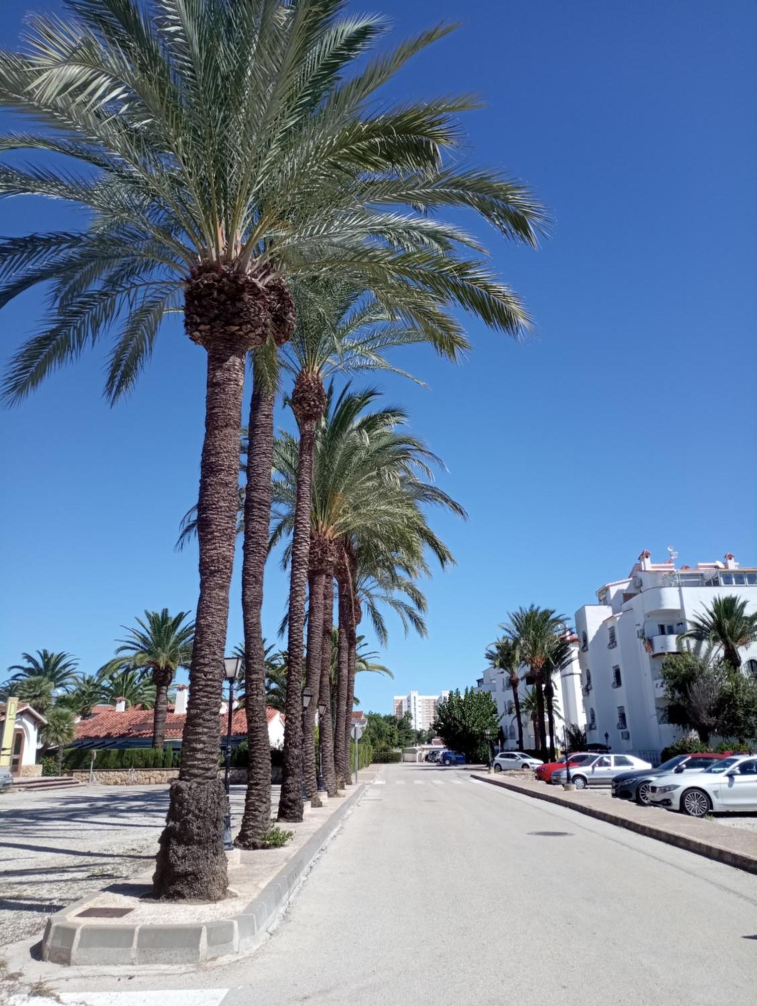 Alojamiento Con Piscina Y Chiringuito Denia Kültér fotó